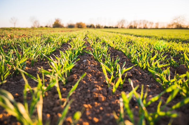 Agriculture Connectée